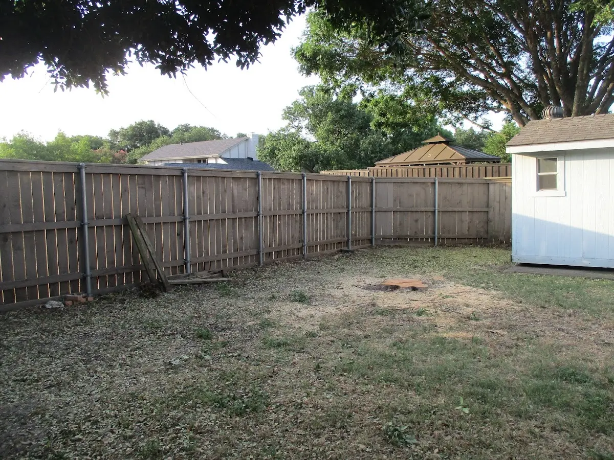 Cleared yard after professional tree removal in Canby